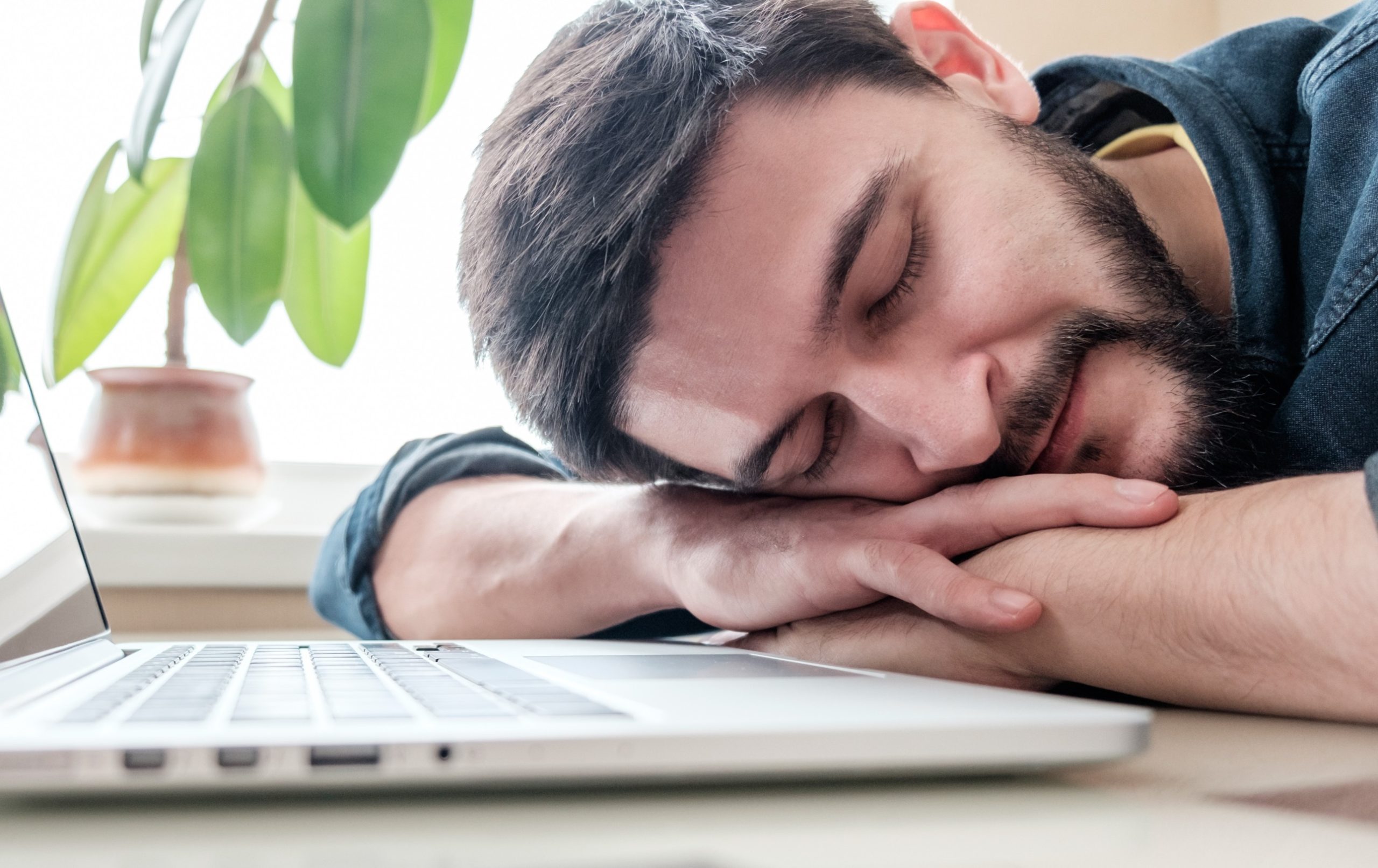 man asleep laptop