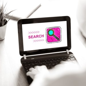 web search evaluator jobs