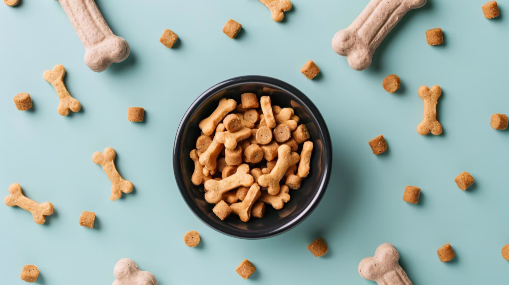 dog treats