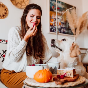 How to Start a Dog Treat Business