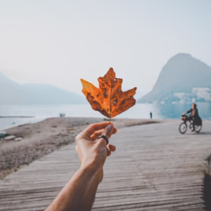 Fall Travel Destinations