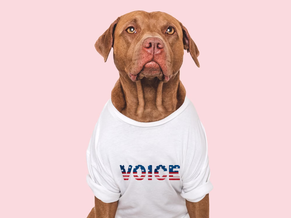 Ways to Make Extra Cash with Your Dog